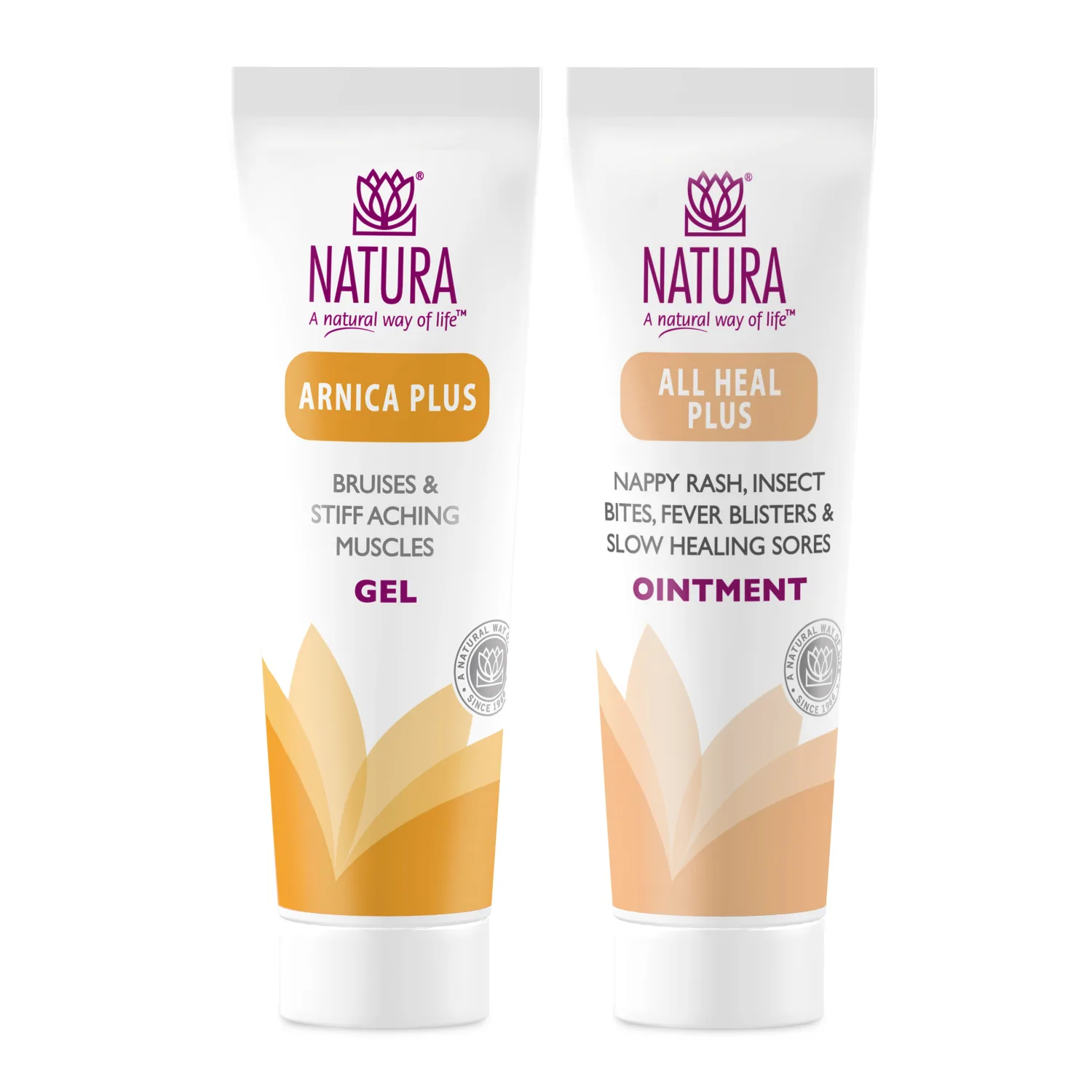 Arnica Plus